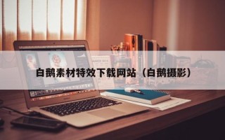 漳州白鹅素材特效下载网站（白鹅摄影）